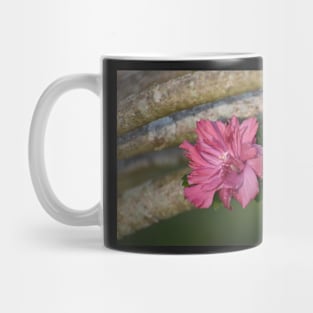 Rose of Sharon Mug